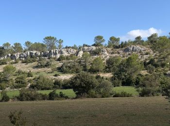 Excursión Senderismo Gajan - la Rouveyrolle - Photo