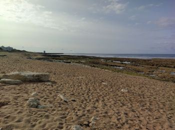 Excursión Senderismo Saint-Pierre-d'Oléron - oleron - Photo