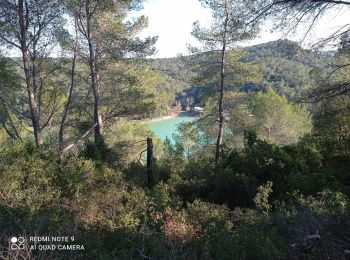 Tocht Stappen Sainte-Croix-de-Quintillargues - 34 lac de ceceles par la suque26 01 2023  - Photo