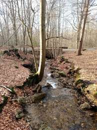 Trail Walking Spa - La promenade de Meyerbeer (6,6km)  - Photo