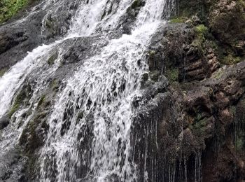 Tour Wandern Le Châtelard - Cascade du Pissieu - Photo