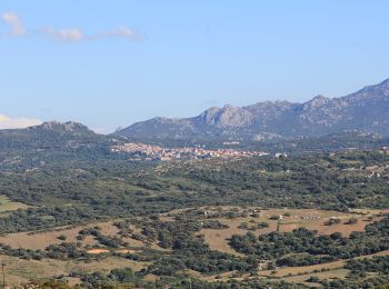 Tocht Te voet Sant'Antoni di Gaddura/Sant'Antonio di Gallura - (SI Z04) Sant’Antonio di Gallura - Calangianus - Photo