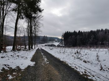 Tour Wandern Florenville - 10-Les Epioux boucle7km500 vers cabane de chasse - Photo