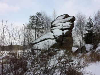 Excursión A pie Gemeinde Arbesbach - Die Kraft des Wassers 12 - Photo