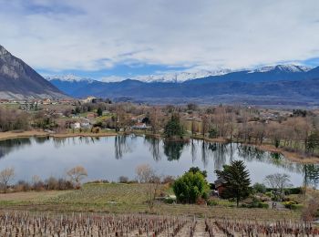 Trail Walking Porte-de-Savoie - st André-13-03-23 - Photo