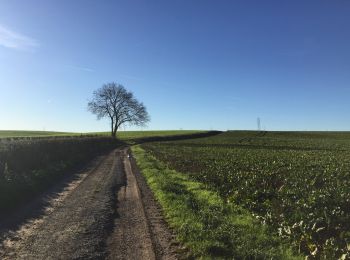 Tour Wandern Pont-à-Celles - En passant de la Meuse à l'Escaut - Photo