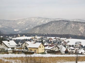 Tocht Te voet Gemeinde Enzenreith - Sonnleitenweg (Enzenreith) - Photo