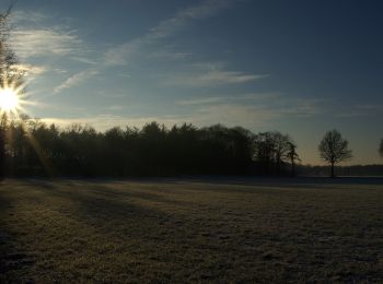 Tour Zu Fuß Bronckhorst - Veldhoekroute - Photo