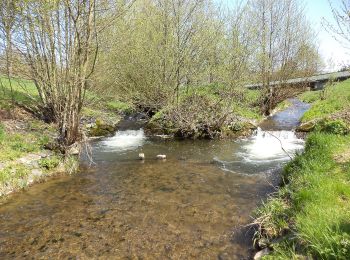 Tocht Te voet Schlüchtern - Schlüchtern Wanderweg SLÜ2 - Photo