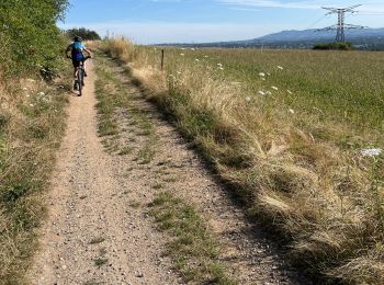 Excursión Bici de montaña Francheville - GTML - Photo