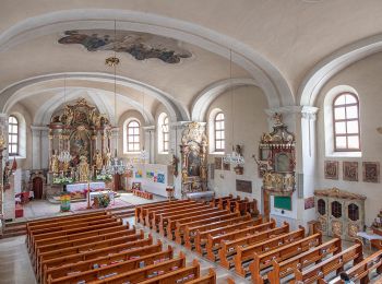 Tour Zu Fuß Großarl - Ellmautal Sonnseitweg-Schattseitweg - Photo