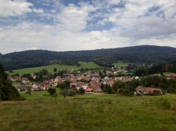 Tour Wandern Roggensbach - Ranrupt autour du Climont - Photo