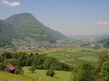 Tocht Te voet Glarus Nord - Vor dem Wald - Filzbach - Photo