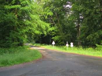 Trail Walking Rethondes - en forêt de Laigue_6_12_2019_Route Forestière des Princesses_Route et Chemin de Briançon - Photo