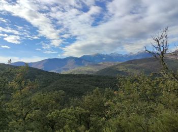 Tocht Stappen Prunet-et-Belpuig - BOULE d'AMONT - La TRINITE - Photo