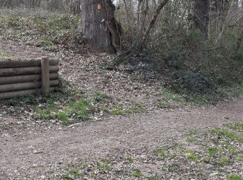 Tour Wandern Panissières - Panissieres ESsertines en donzy Terre de Tisseurs - Photo