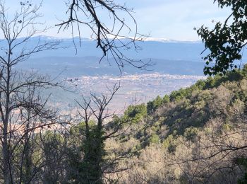 Excursión Senderismo Pignans - Pignans - Notre Dame des anges - Photo