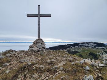 Trail Walking Jougne - aiguilles de Baulmes  et Suchet  - Photo