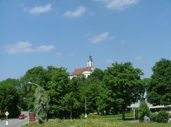 Tocht Te voet Bodnegg - Rundwanderweg 3 der Gemeinde Bodnegg - Photo