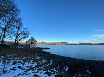 Trail Walking Picherande - Lac Chauvet - Photo