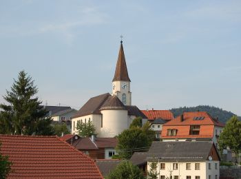 Trail On foot Neustift im Mühlkreis - Seenweg - Photo