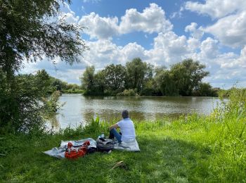 Randonnée Marche Nieurlet - Circuit des marais de Booneghem - Photo