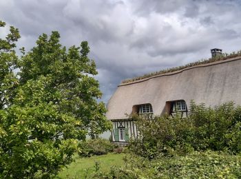 Randonnée Marche Aizier - Chemin des sources bleues - Photo