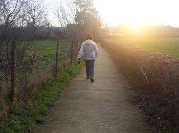 Tocht Stappen Wanze - antheit - Photo