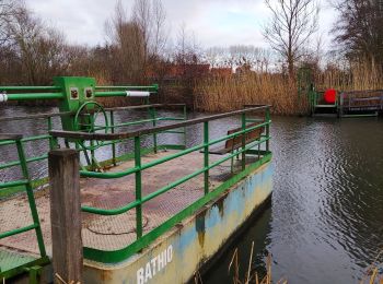 Percorso Marcia Deinze - Randonnée des Filliers à Deinze - Photo