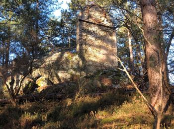 Excursión Senderismo Arbonne-la-Forêt - Feuillardiere Chemin de la Sapinière  - Photo