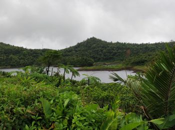 Randonnée Trail  - fresh water lake  - Photo