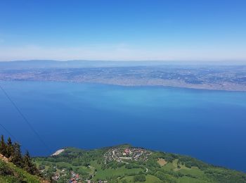 Tour Pfad Bernex - test appli Thonon les mémises ken - Photo