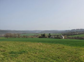 Tour Wandern Anhée - rando ornitho haut le wastia 01/04/2021 - Photo