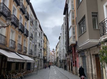 Excursión Senderismo Villafranca Montes de Oca - 2023 10 23 CAMINO FRANCES - 31ème étape : Villafranca Montés del Oca - San Juan de Ortega - Atapuerca - Cardañuela-Riopico - Orbaneja-Riopico - Burgos - Photo