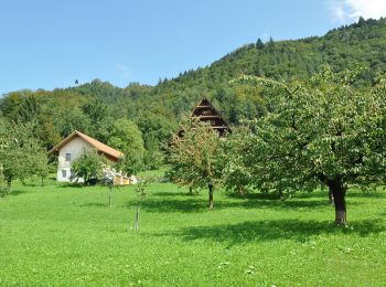 Randonnée A pied Zoug - Hasel - Oberwil - Fixme - Photo