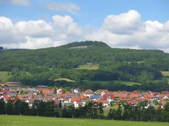 Tour Zu Fuß Ehrenberg - Wüstensachsen, Rundweg 10 - Photo