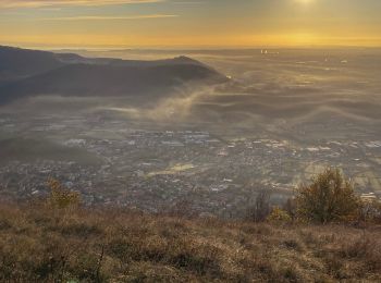 Trail On foot Brescia - Monte Maddalena da Botticino Sera - Photo