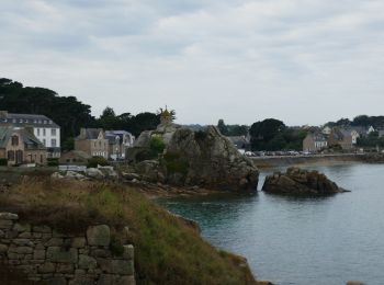 Tocht Elektrische fiets Plouguiel - Port Blanc et Bugélès à partir de Treguier - Photo