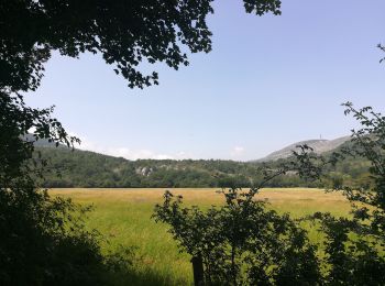 Randonnée V.T.T. Saint-Vallier-de-Thiey - Crêtes au nord de St Vallier (boucle) - Photo