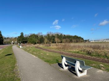 Randonnée Marche Le Touquet-Paris-Plage - Le Touquet : promenade de la Canche - Photo