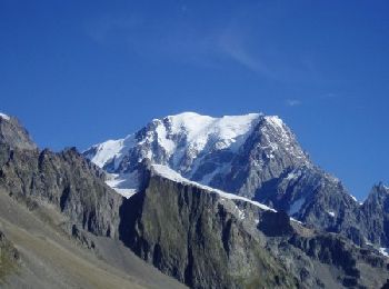 Excursión Senderismo Bourg-Saint-Maurice - Col de Seigne - Photo