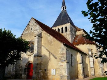 Percorso A piedi Bernouil - Les Vignes de l'Empereur - Photo