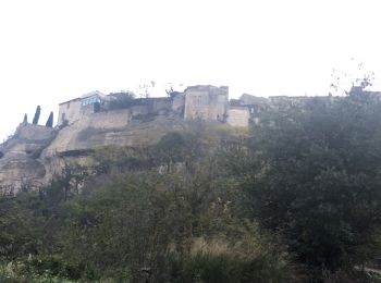 Excursión Carrera Les Baux-de-Provence - Tamalous-Les Baux-01112019 - Photo