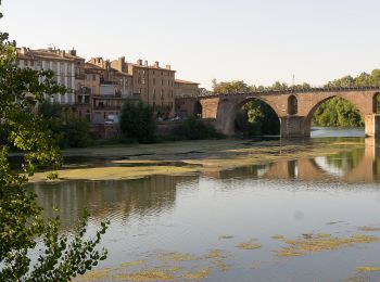 Randonnée Cyclotourisme Moissac - Moissac-Montauban - Photo