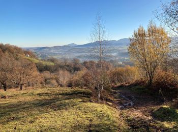 Randonnée Marche Sare - Col en col la Rhune SARE  - Photo