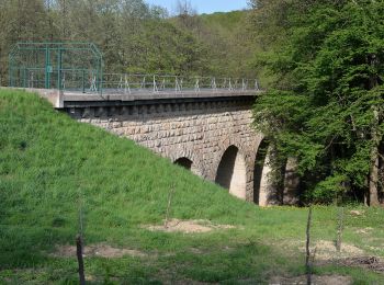 Percorso A piedi Eichgraben - Zubringer 9 Höhenwanderweg um Eichgraben - Photo