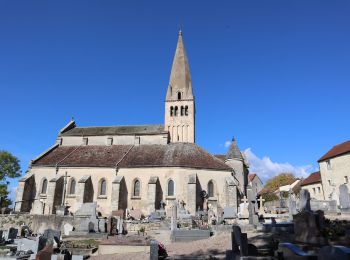 Tour Zu Fuß Bligny-sur-Ouche - Rail d'Antan 5 km - Photo