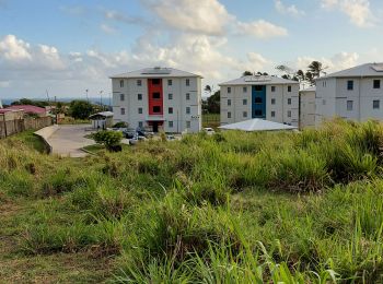 Trail Walking Le Lorrain - Boucle Seguineau 22 Mai - Photo