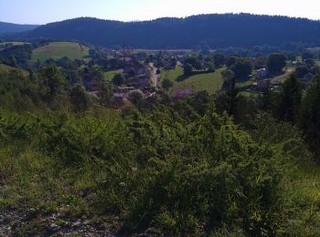 Randonnée Marche Apremont - tour d'Apremont - Photo