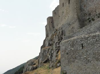 Trail On foot Isola del Giglio - Castello - Dolce - Aierella - Campese - Photo